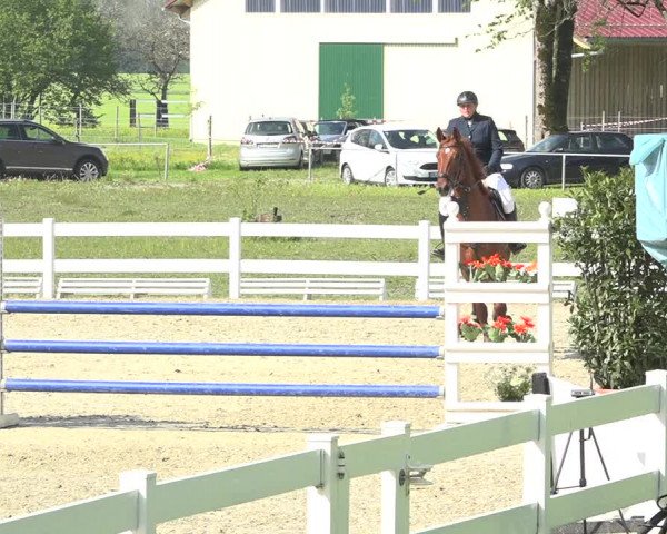Reitturnier Isny-Rohrdorf 2019