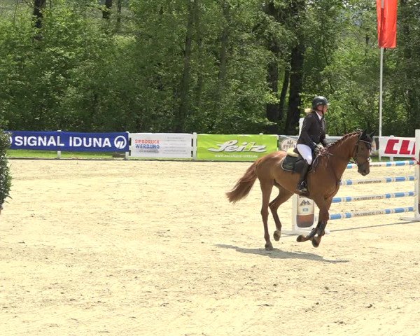 Reitturnier Isny-Rohrdorf 2019