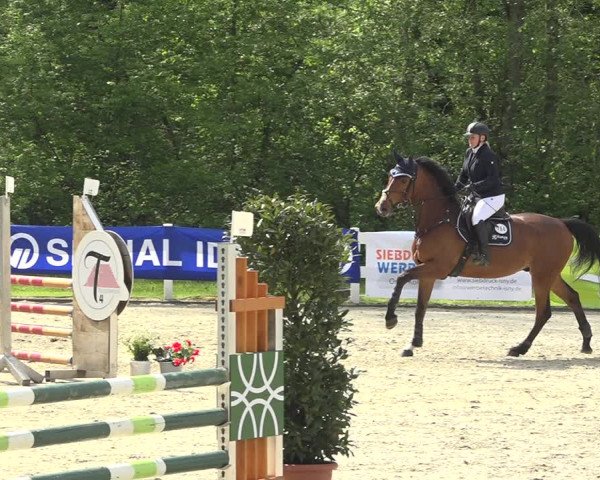 Reitturnier Isny-Rohrdorf 2019