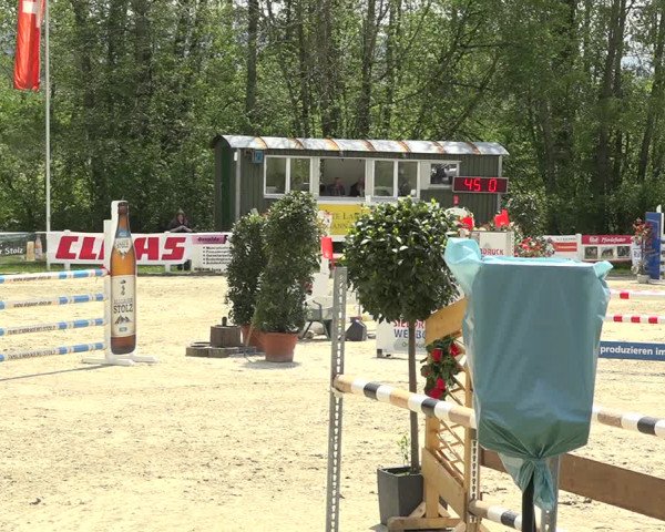 Reitturnier Isny-Rohrdorf 2019