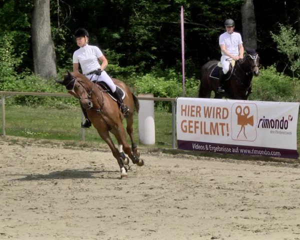 Reitturnier Herxheim 2019