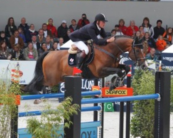 Springpferd Chopard (KWPN (Niederländisches Warmblut), 2007, von Van Schijndel's Rascin)