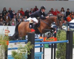jumper Chopard (KWPN (Royal Dutch Sporthorse), 2007, from Van Schijndel's Rascin)