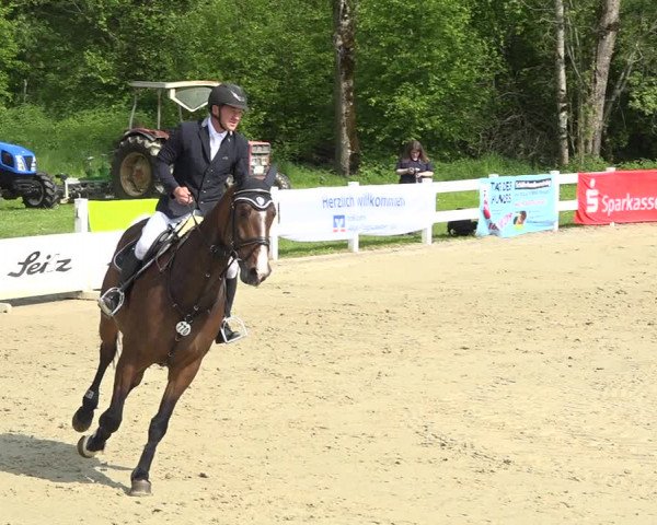 Reitturnier Isny-Rohrdorf 2019