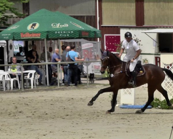 Reitturnier Herxheim 2019