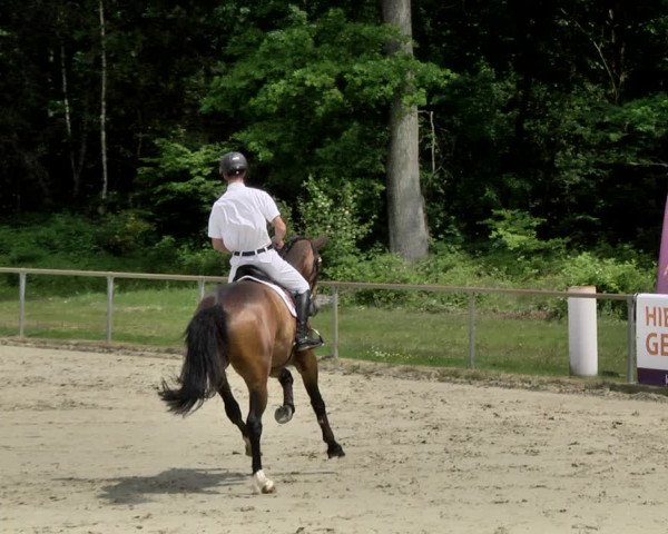 Reitturnier Herxheim 2019