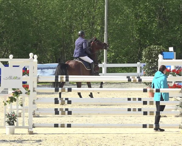 Reitturnier Isny-Rohrdorf 2019