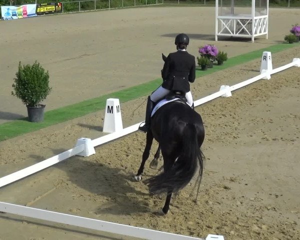 Reitturnier Ladenburg 2019