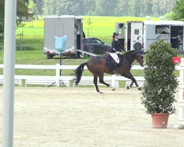 Reitturnier Isny-Rohrdorf 2019