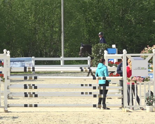 Reitturnier Isny-Rohrdorf 2019