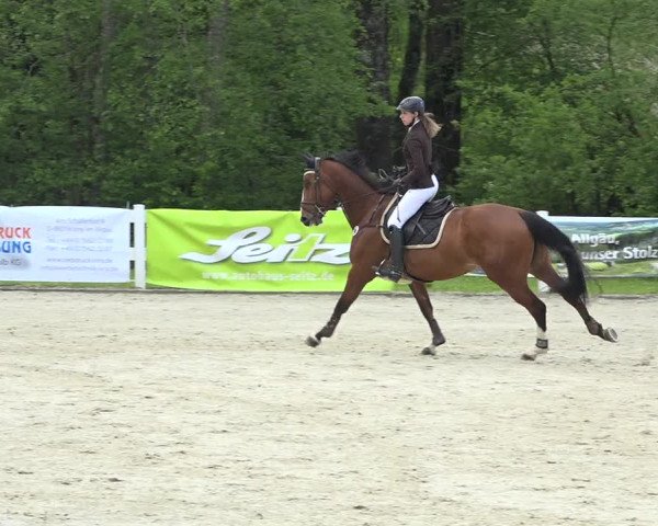 Reitturnier Isny-Rohrdorf 2019