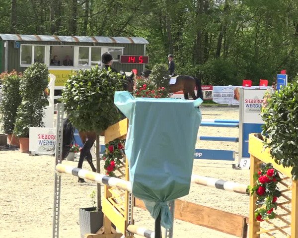 Reitturnier Isny-Rohrdorf 2019