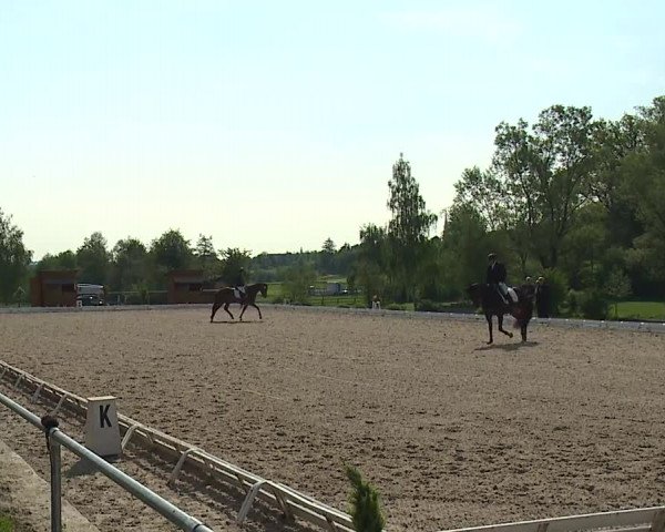 Reitturnier Ansbach/Mfr. 2019