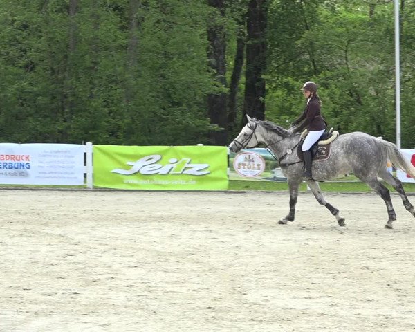 Reitturnier Isny-Rohrdorf 2019