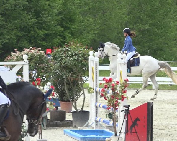 Reitturnier Isny-Rohrdorf 2019