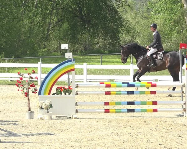 Reitturnier Isny-Rohrdorf 2019
