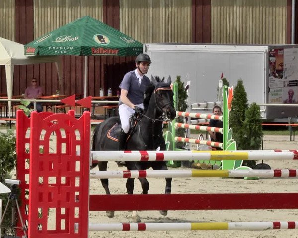 Reitturnier Herxheim 2019