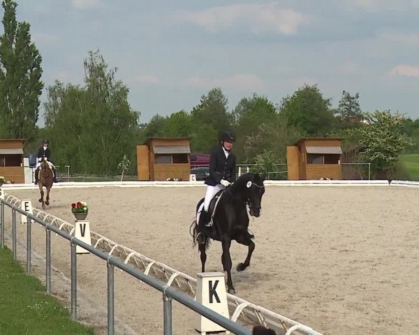 Reitturnier Ansbach/Mfr. 2019