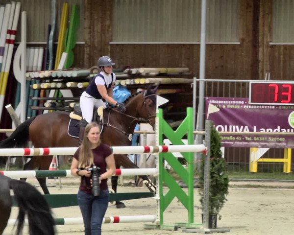 Reitturnier Herxheim 2019
