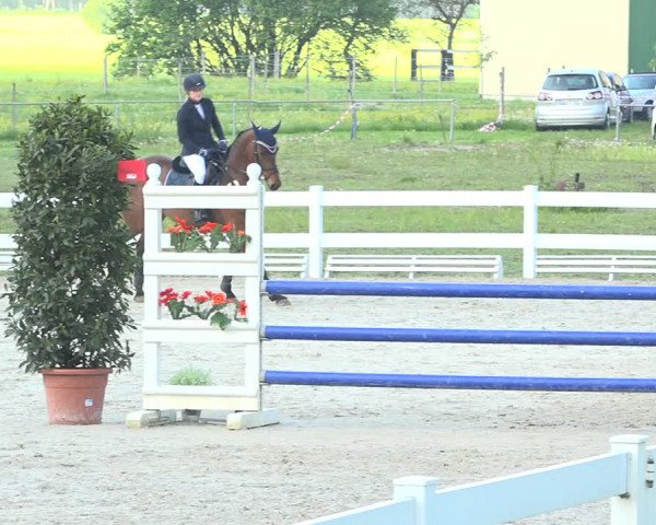 Reitturnier Isny-Rohrdorf 2019