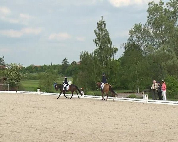 Reitturnier Ansbach/Mfr. 2019