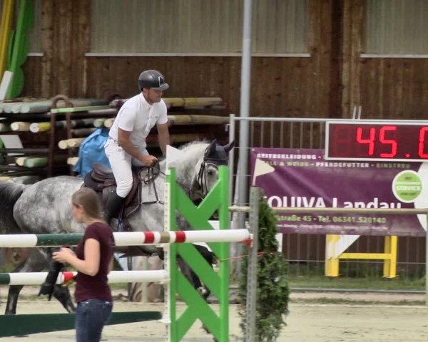Reitturnier Herxheim 2019