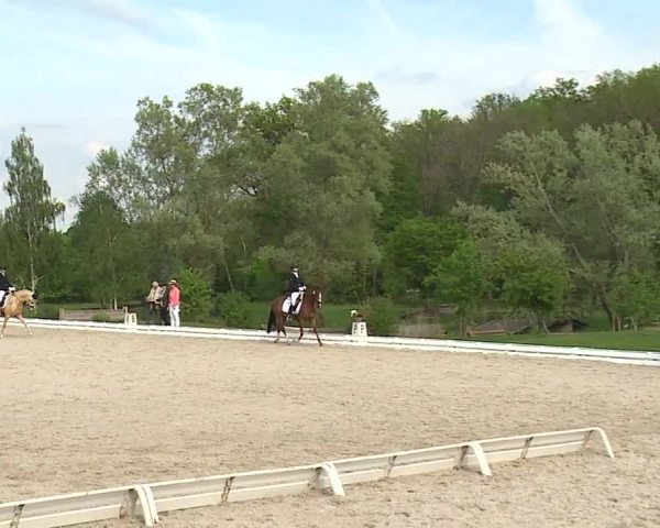 Reitturnier Ansbach/Mfr. 2019