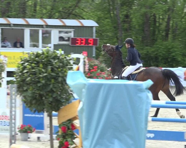 Reitturnier Isny-Rohrdorf 2019