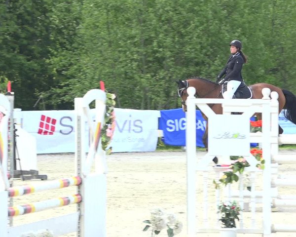 Reitturnier Isny-Rohrdorf 2019