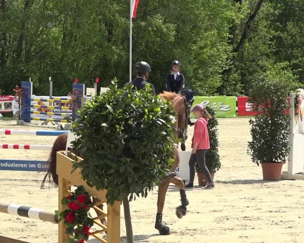Reitturnier Isny-Rohrdorf 2019