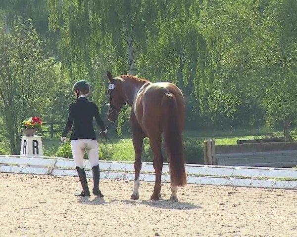 Reitturnier Ansbach/Mfr. 2019