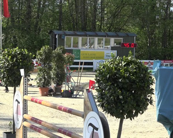 Reitturnier Isny-Rohrdorf 2019