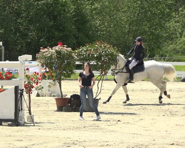Reitturnier Isny-Rohrdorf 2019