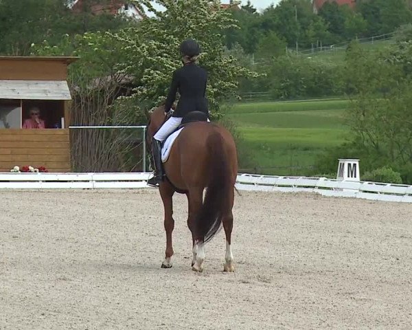 Reitturnier Ansbach/Mfr. 2019