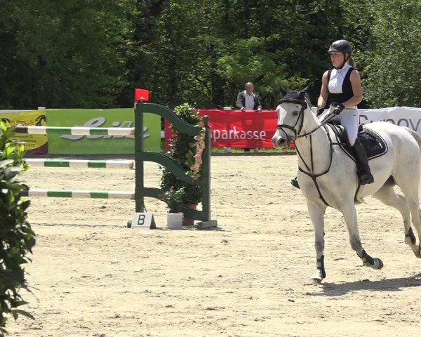 Reitturnier Isny-Rohrdorf 2019