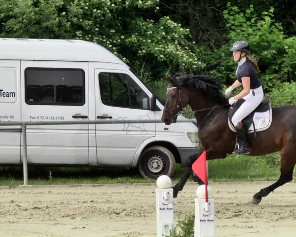 Reitturnier Herxheim 2019