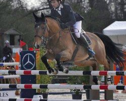 jumper Priam de Chasnay (Selle Français, 2003, from Quito de Baussy)