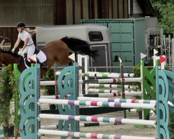 Reitturnier Herxheim 2019