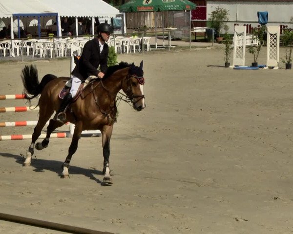 Reitturnier Herxheim 2019