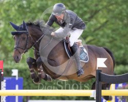 jumper Citta de La Ferme Blanche (Belgian Warmblood, 2002, from Thunder van de Zuuthoeve)
