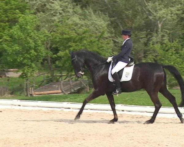 Reitturnier Ansbach/Mfr. 2019