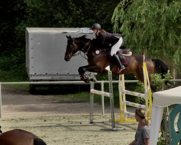 Reitturnier Herxheim 2019
