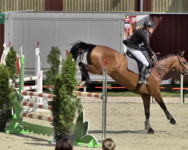 Reitturnier Herxheim 2019