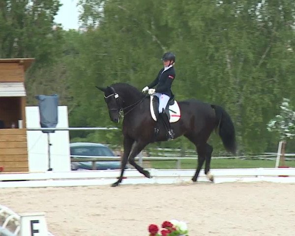 Reitturnier Ansbach/Mfr. 2019
