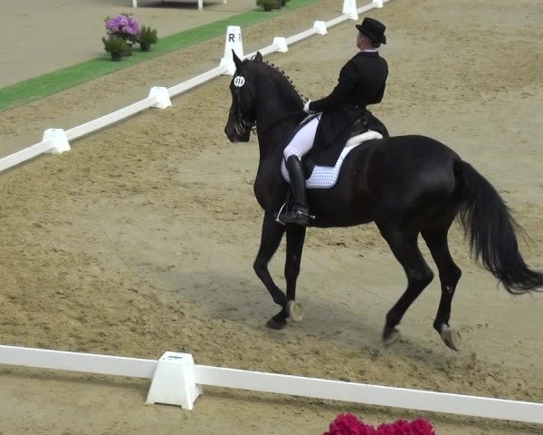 Reitturnier Ladenburg 2019
