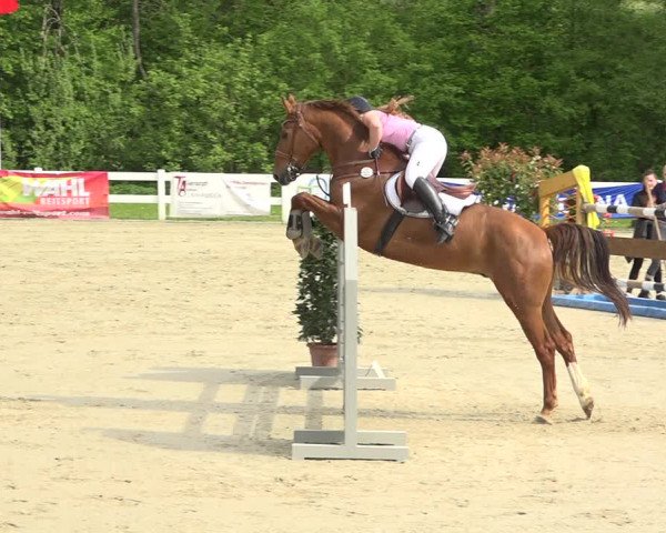 Reitturnier Isny-Rohrdorf 2019
