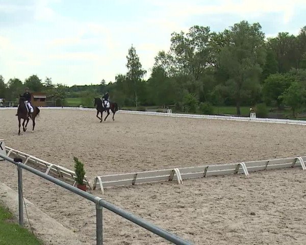 Reitturnier Ansbach/Mfr. 2019
