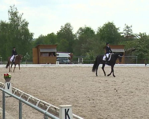 Reitturnier Ansbach/Mfr. 2019