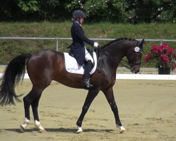 Reitturnier Ladenburg 2019