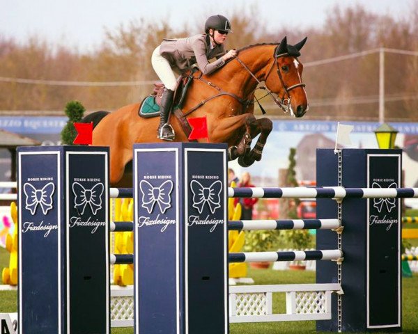 jumper Chesterfield (Swedish Warmblood, 2005, from Orlando van de Heffinck)